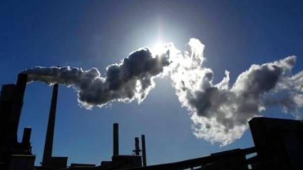 நடவடிக்கை 