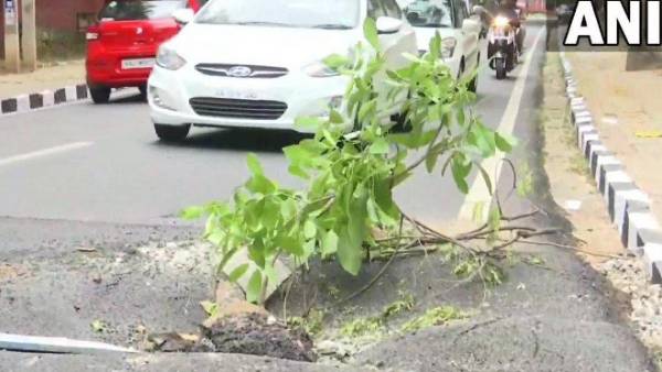 பள்ளம் விழுந்த ரோடு 