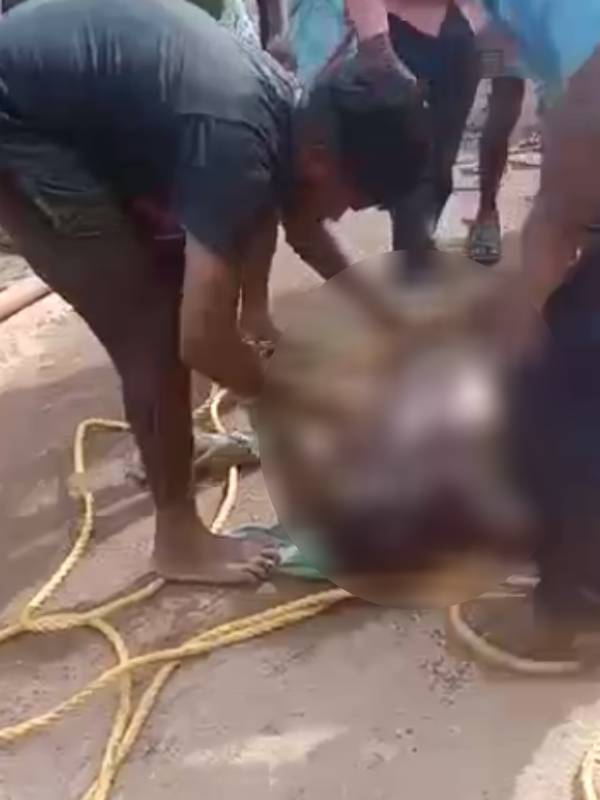 தொழிலாளி பலி 