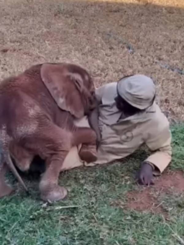  கட்டி அணைக்கும் வீடியோ