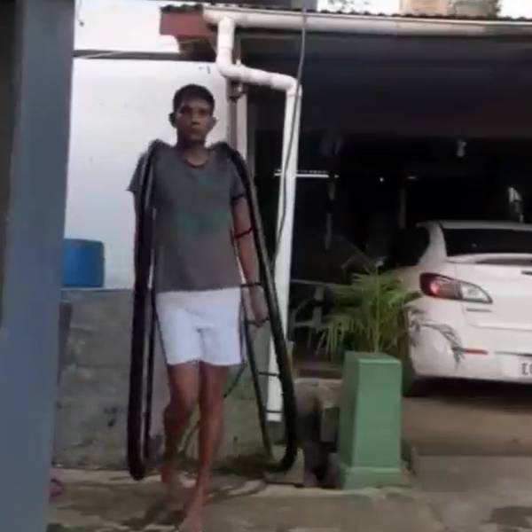 கேட் வாக் 