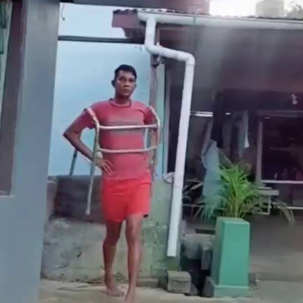 ஒய்யார நடை 