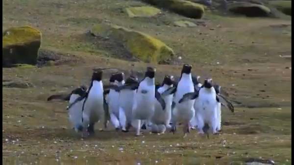 இப்டி பண்ணிட்டீங்களே பாஸ்..