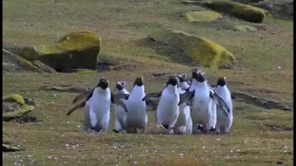  பட்டாம்பூச்சியின் பின்னே...