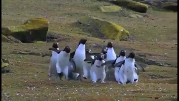 குதித்து குதித்து..