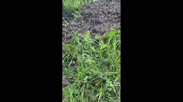  நெட்டிசன் 