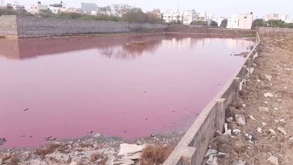 டெஸ்ட் டெஸ்ட்