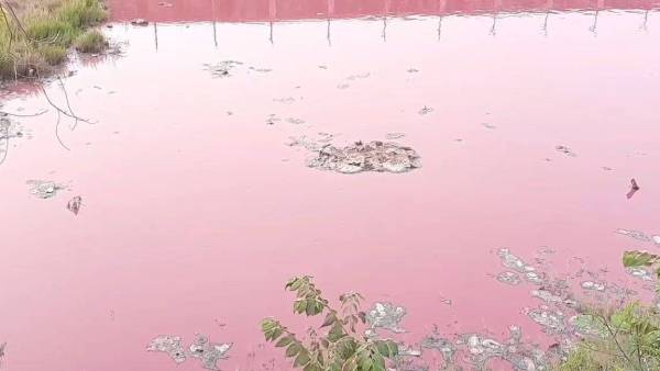 குப்பை கிடங்கு குப்பை கிடங்கு