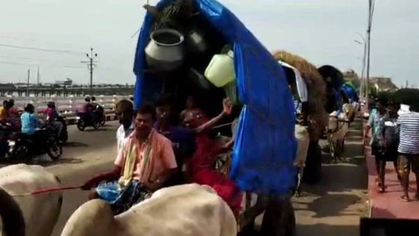 திருச்சி சாலைகளில் மாட்டு வண்டிகள் திருச்சி சாலைகளில் மாட்டு வண்டிகள்