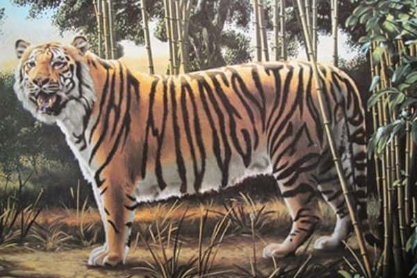 ஆப்டிக்கல் இல்யூஷன் 