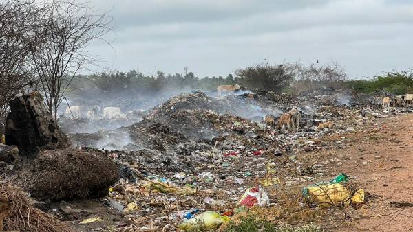 ஈசிஆர் சாலையோரம் கொட்டப்படும் குப்பைகள் ஈசிஆர் சாலையோரம் கொட்டப்படும் குப்பைகள்