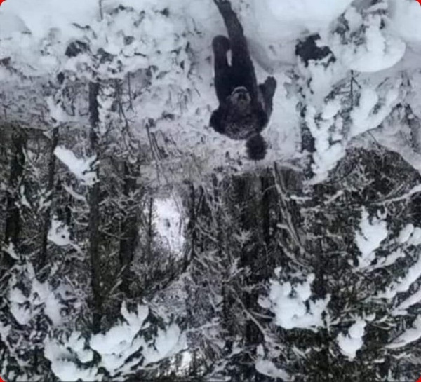 படத்தில் என்ன தெரிகிறது 