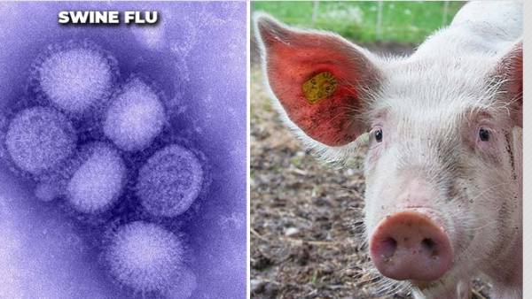  விவசாயிகள்