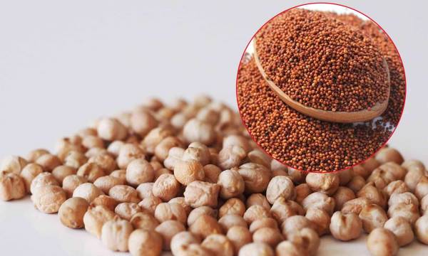  எலும்பு வளர்ச்சி