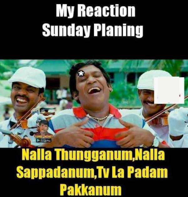 Funny memes collection on sunday