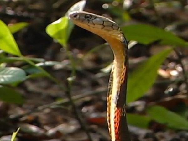 மூடநம்பிக்கைகள்