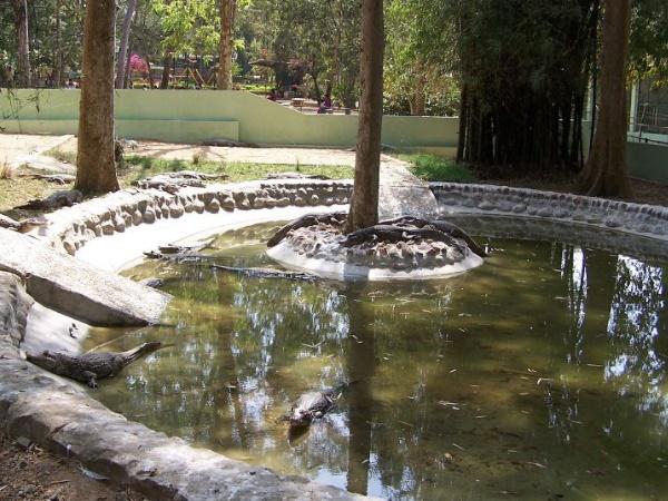  87 ஒப்பந்ததாரர்களுக்கு அபராதம் 