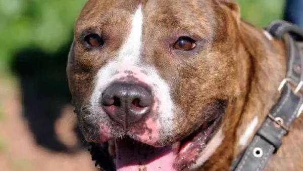  உயிரிழப்பு