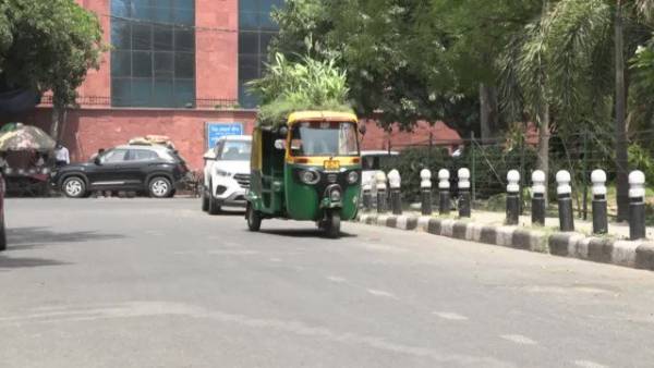 20 செடிகள் 20 செடிகள்