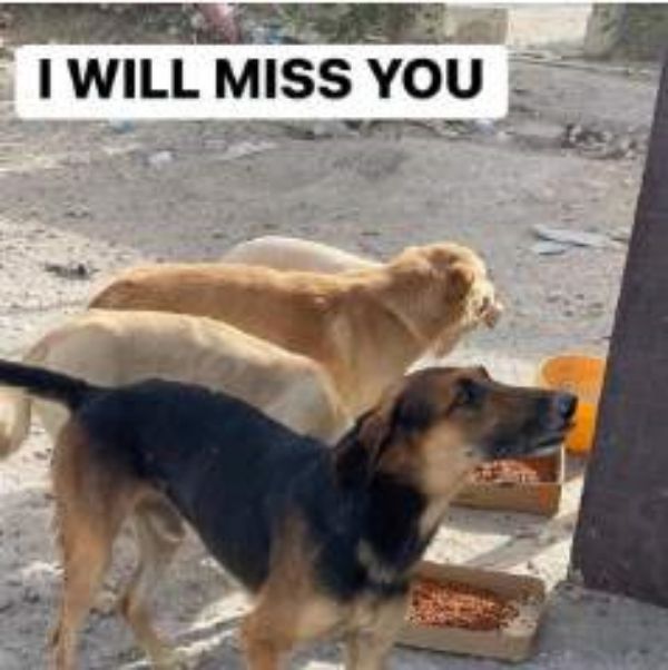  ஈத் முதல் நாள்