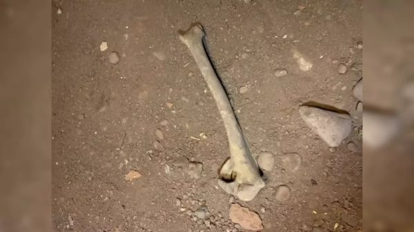 நிம்மதி பெருமூச்சு நிம்மதி பெருமூச்சு