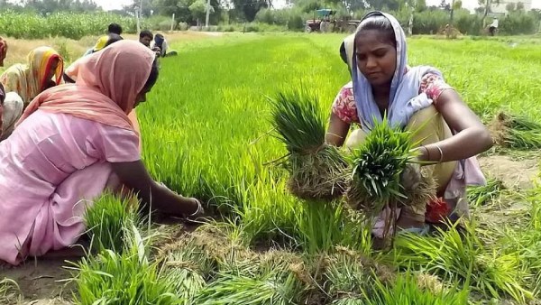 நிறுத்தப்படலாம் 