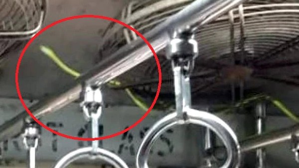  உஷாரான ரயில்வே அதிகாரிகள் 