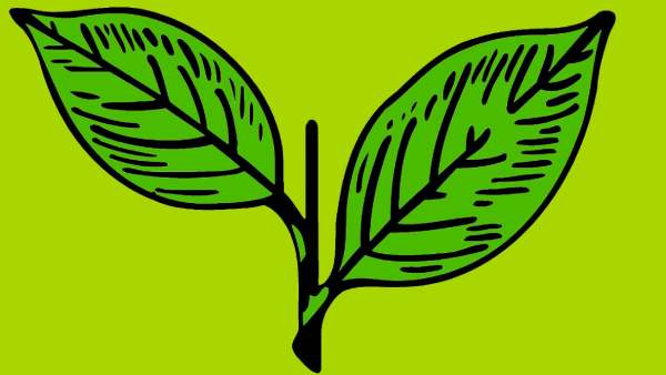  இரட்டை விவகாரம்