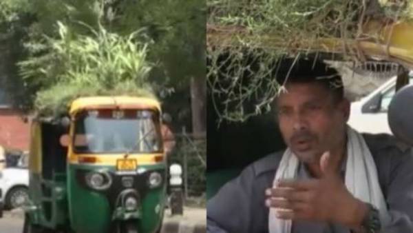 ஆட்டோ மேல் தோட்டம் ஆட்டோ மேல் தோட்டம்