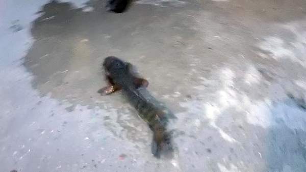 ஏன் இப்படி ஏன் இப்படி