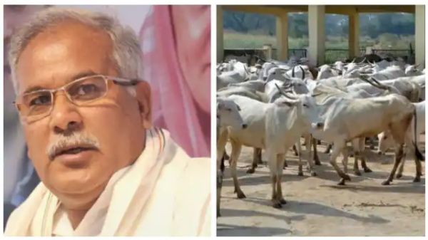 கடும் விமர்சனம் 