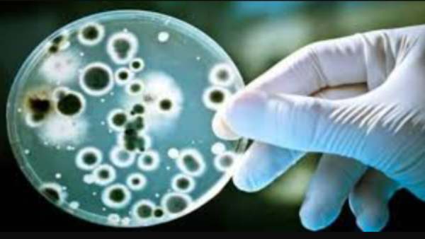  கடைபிடியுங்கள்