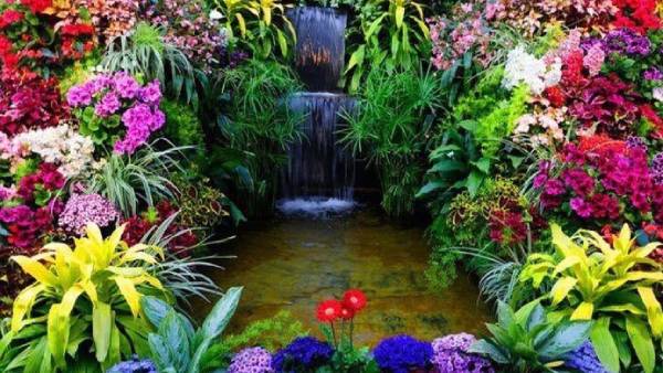 பாய்சன் கார்டன் 