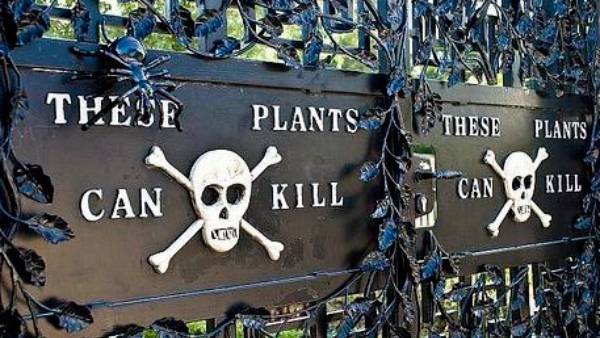  ஆல்ன்விக் 