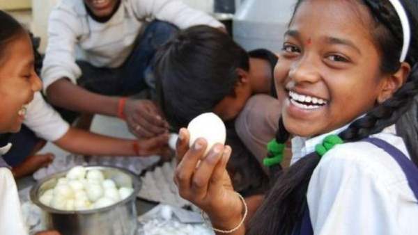 முட்டை முட்டை