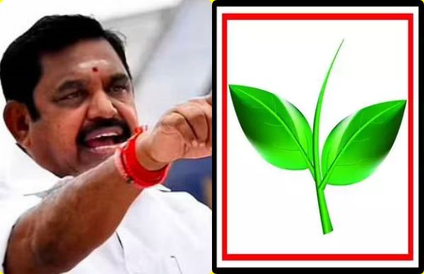 பொதுக்குழு நடத்தலாம் 