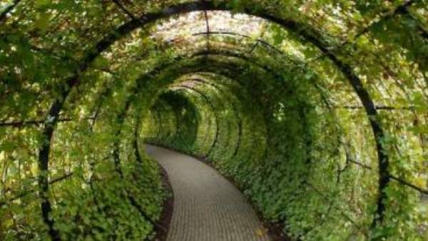  தோட்ட நிர்வாகம் 