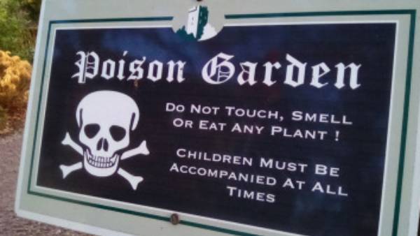  மார்பக புற்றுநோய் 