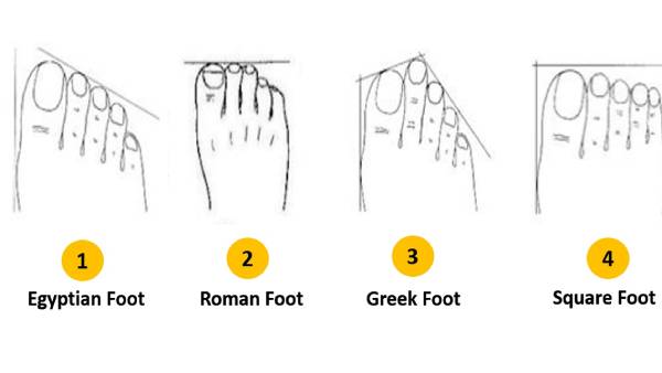  கால்களின் வடிவம் 