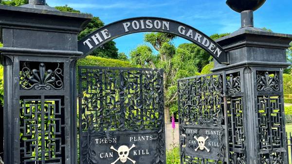 மாந்தோப்பு 