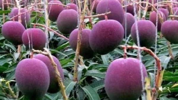 ஏன் இந்த பெயர்? 