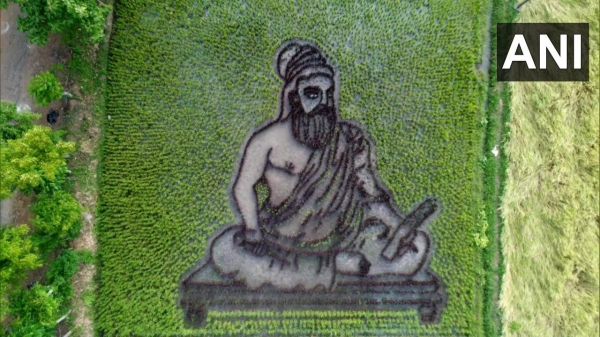 விழிப்புணர்வு விழிப்புணர்வு