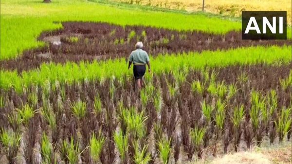 தனி ஆளாக தனி ஆளாக