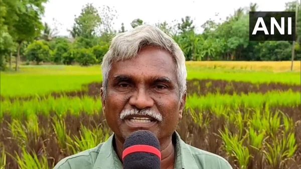 திருவள்ளுவர் திருவள்ளுவர்