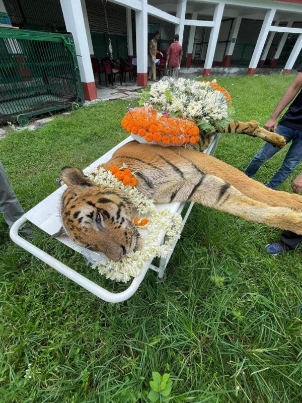 காயத்துடன் மீட்பு