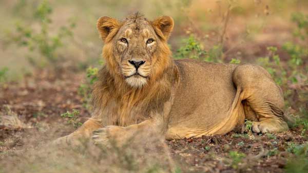 குறைவான விலை