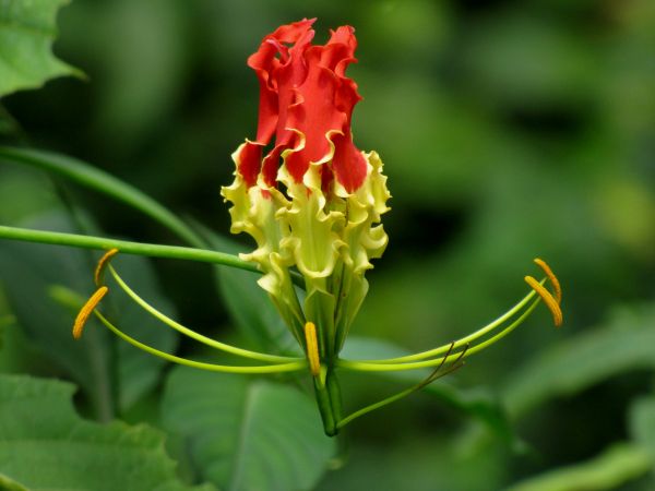 விவசாயிகள் கோரிக்கை 