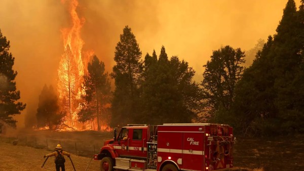  கலிபோர்னியா