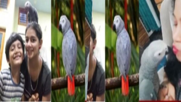  போட்டோக்கள்