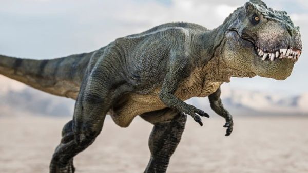  சிறிய முன்கைகள்